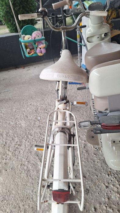 Bicicleta Raleigh/ pegas