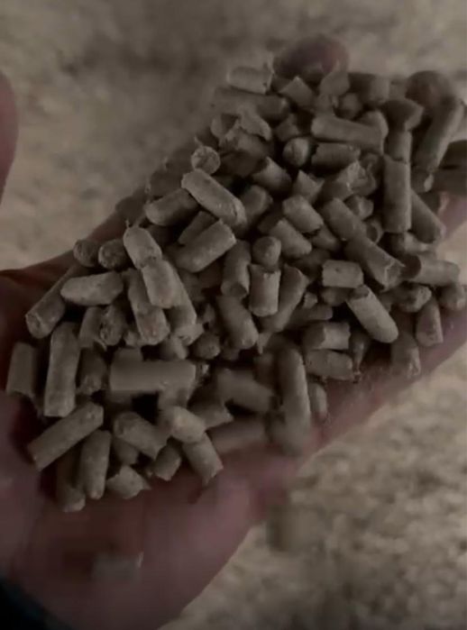 Продам корма: отруби пшеничные гранулированные и дроблёную пшеницу