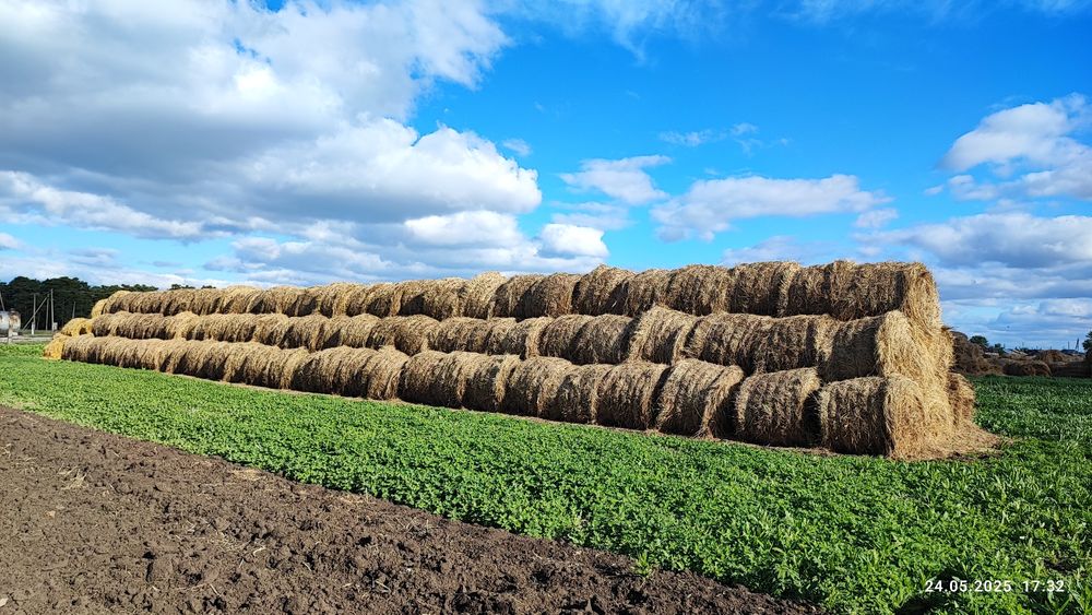 Продам прошлоголнее сено, луговое, пресс прф-145,
