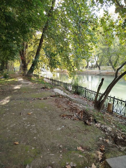 Продается квартира в кирпичном доме , вокруг зеленно как в лесу