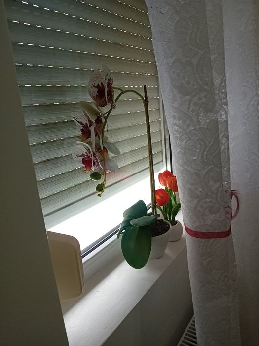 2 camere apartament
