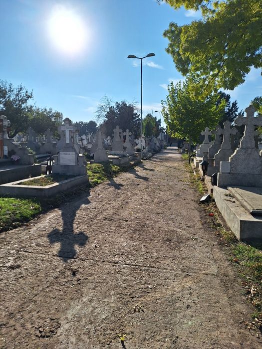 Loc de veci- Ghencea II- Domnești