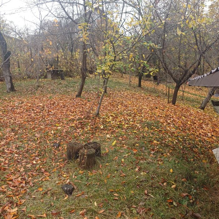 Casa vacanta/teren 800mp