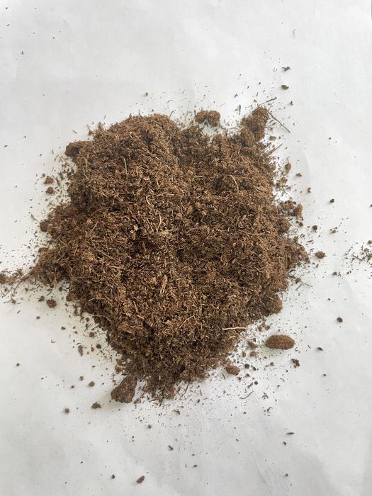 Грунт на основе торфа универсальный