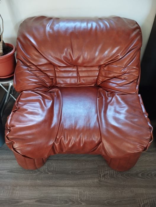 Fotoliu din piele