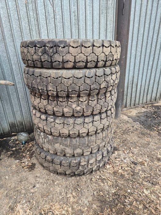 Резина на газон Паз