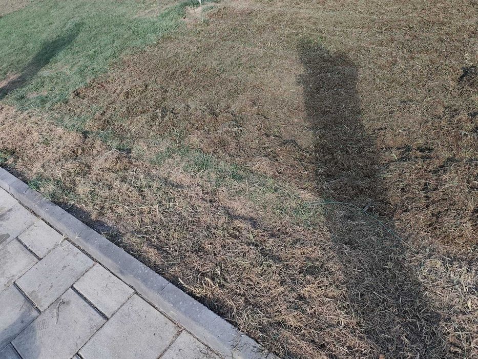 Sisteme de irigații automate pentru grădina ta–proiectare și montaj