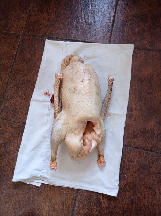 Продается мясо гусей индюков