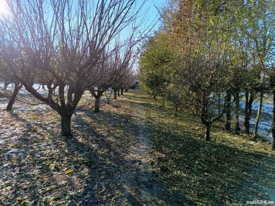 15 euro/mp TEREN INTRAVILAN 2200 / 4400 mp, Cuza Voda, Calarasi