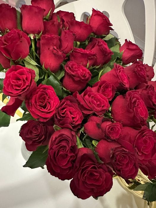 Красные розы от Revel гул