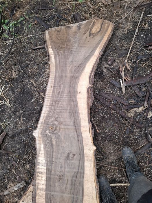 Scandura /foastana de nuc uscata