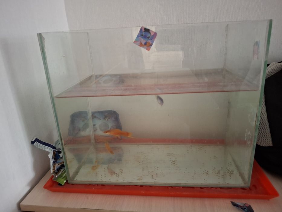 Аквариум с рыбками