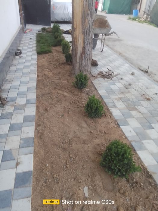 Gazon va landshaft xizmatlari