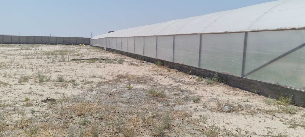 Qishloq xo‘jaligi, parrandachilik yoki issiqxona biznesi uchun ideal v