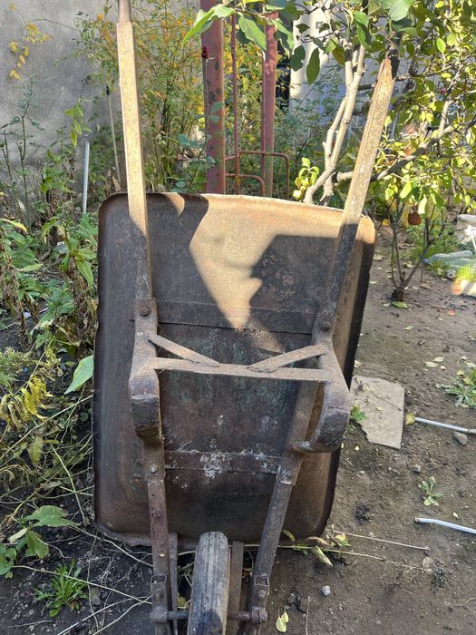 Roaba mare rezistenta