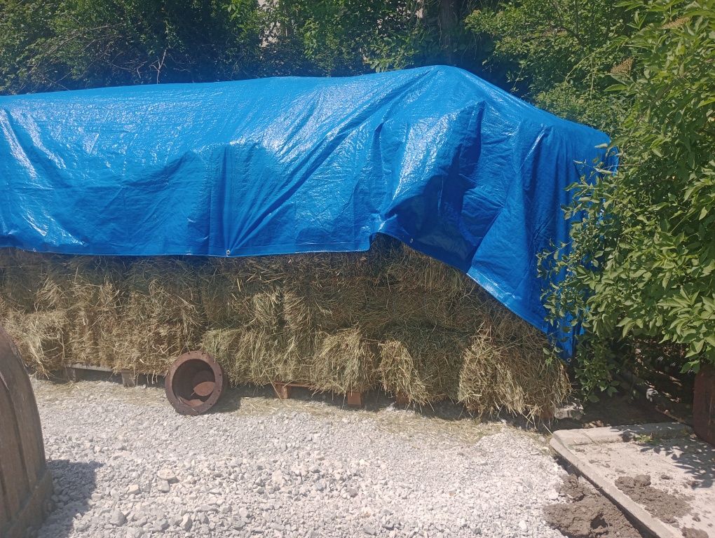 Бали сено продавам