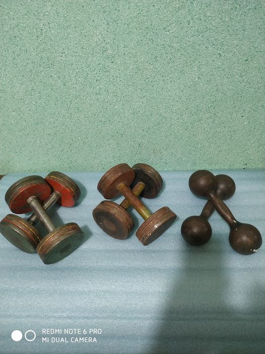 Гантели разборные