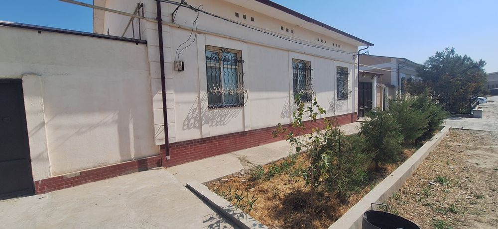 Tezda sotilaadi! Na'munali katej 6 sotixli