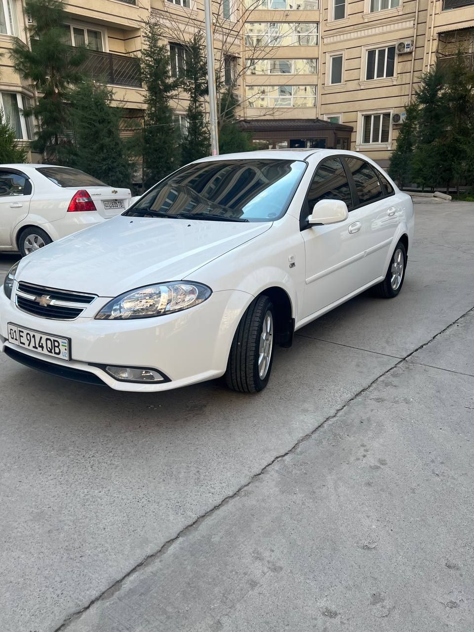 Gentra 3 poz. elgant plus