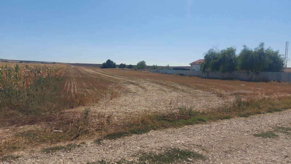 Balș ( Vârtina) - intravilan 359 mp + 4051 extravilan