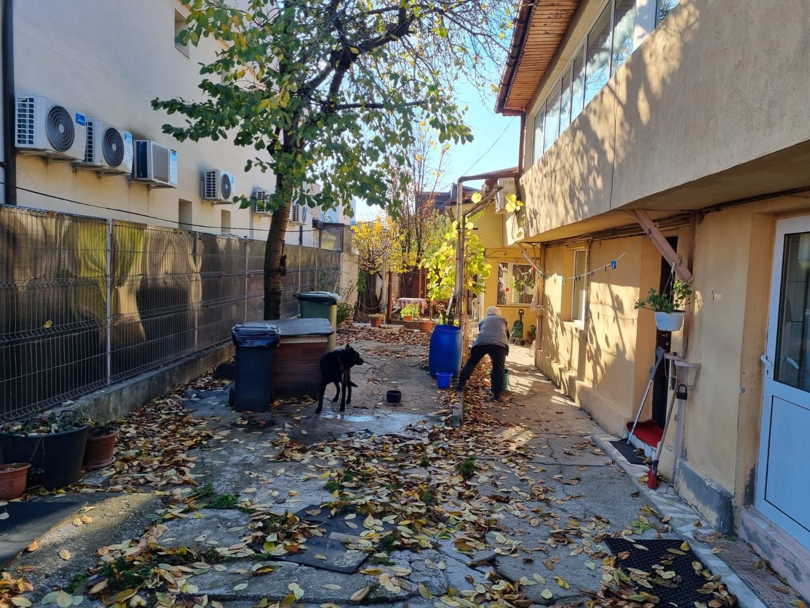 Casa Baneasa veche la curte