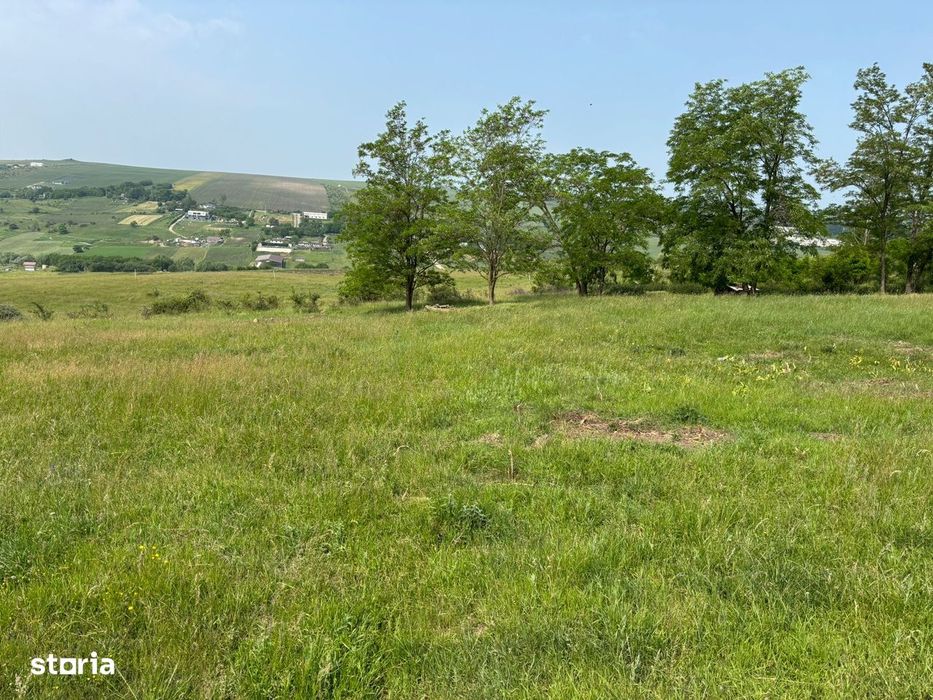 Teren Dealul Fanatelor