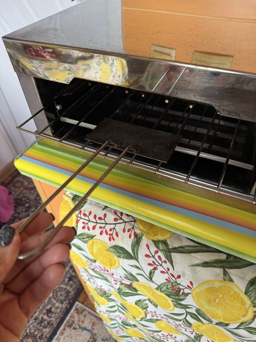 Принцесник професионален