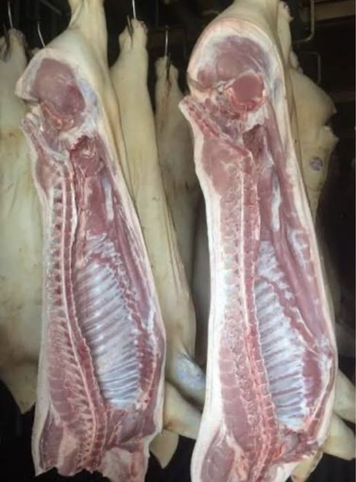 Продам мясо свинины.