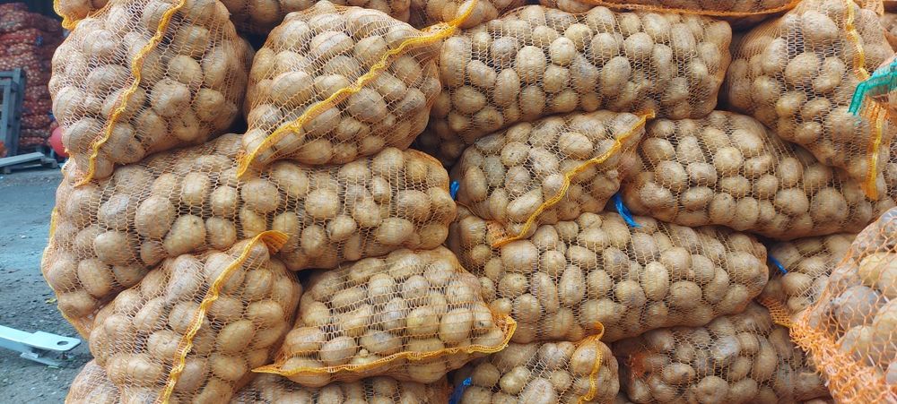 Cartofi de consum alb