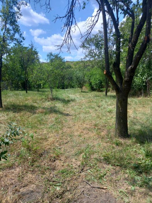 Casa si teren,gaze,lumina,put,acte la zi