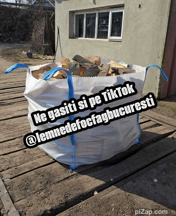 Lemne de foc fag vrac sau ambalate , gata taiate de foc .