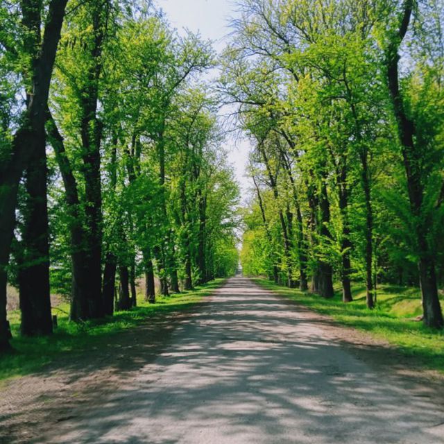 Srochni 24 sotx 2 xonali xovl sotlad
