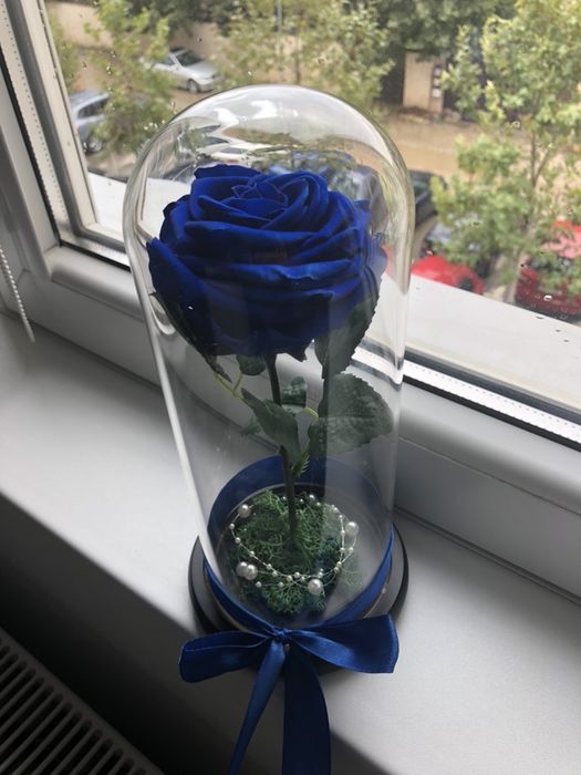 Cupola cu trandafir criongenat albastru inperial