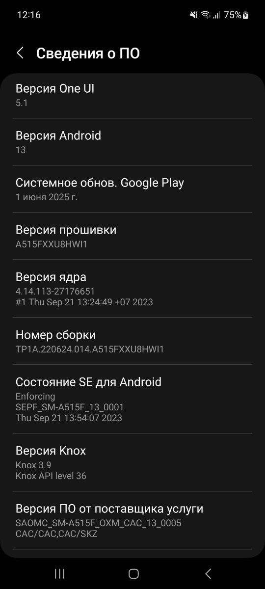 Samsung Galaxy A51. 6/128 ГБ
