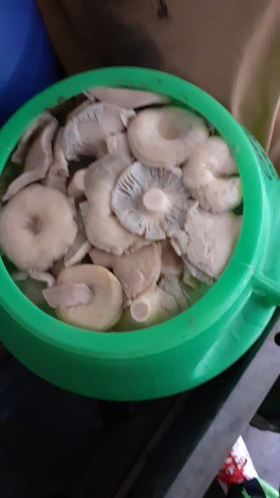 Грузди солёные. Лисички маринованые.