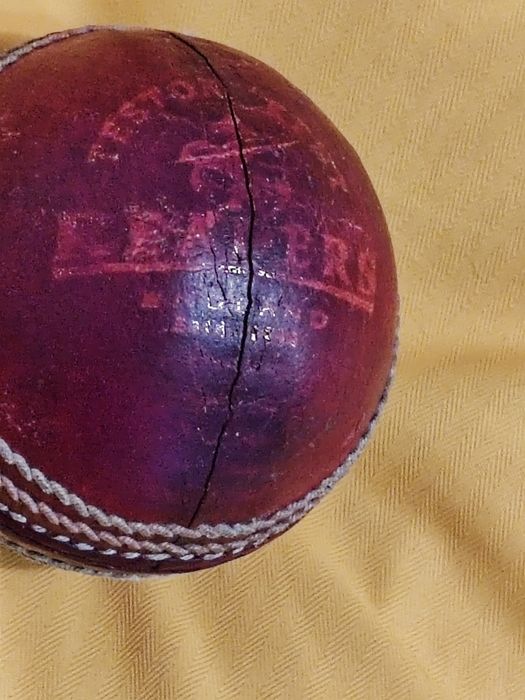 Minge de crichet