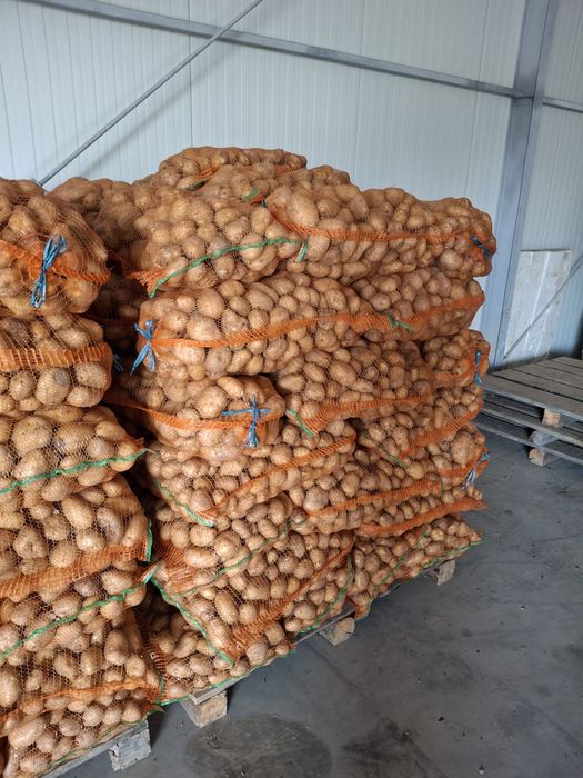 Vand cartofi de consum