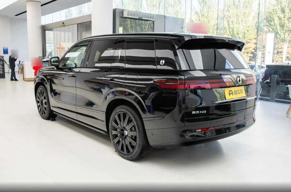 Mix motors Denza N9  cip Tashkent под заказ