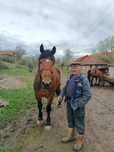 De vânzare iapa și manza