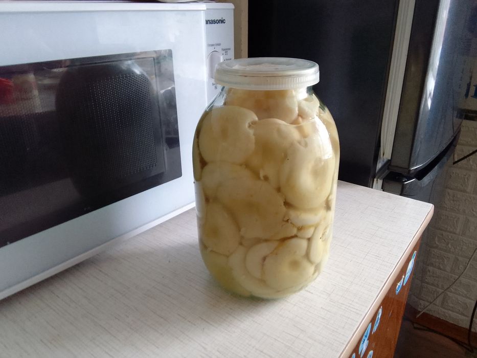 Грибы грузди хорошие красивые