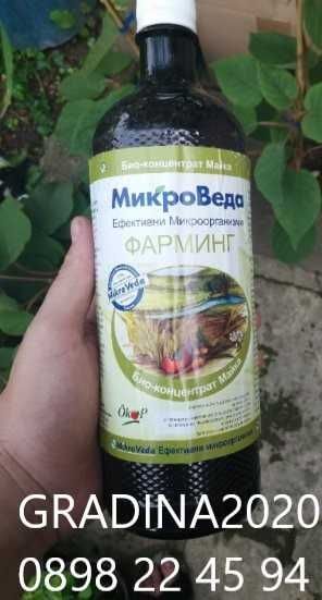 Ефективни микроорганизми на фирма МИКРОВЕДА  За Растения и Пчели.