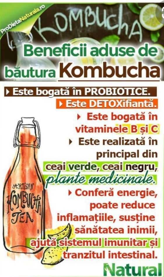 Pui kombucha in cultura starter