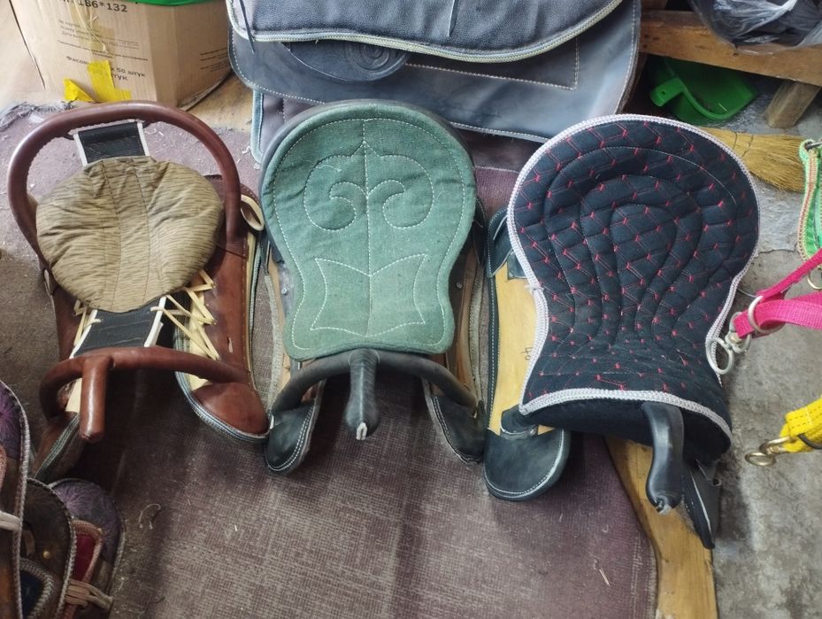 Ат әбзелдеры Тдк