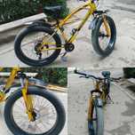 Velosiped Fetbike