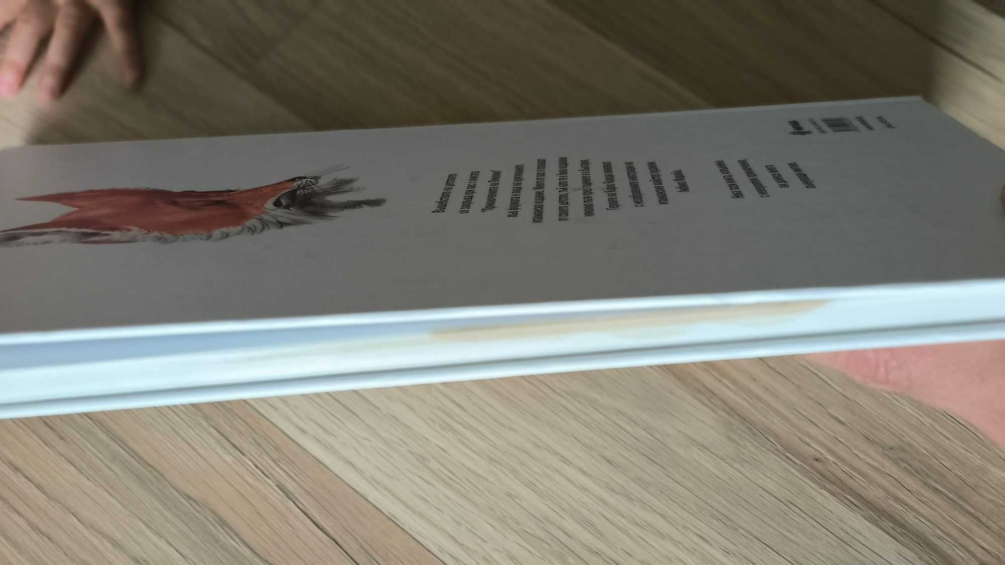 Детски книжки: приказки, комикси, енциклопедии