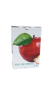 Cutie carton bag in box 3 litri personalizata