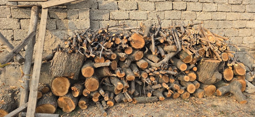 Утин, дрова супер пупер