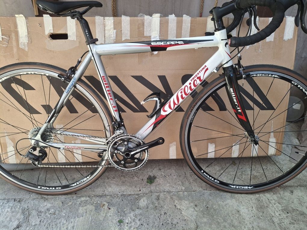 Cursiera wilier triestina