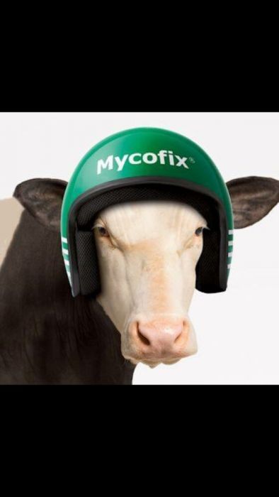 tarata furajera concentrate