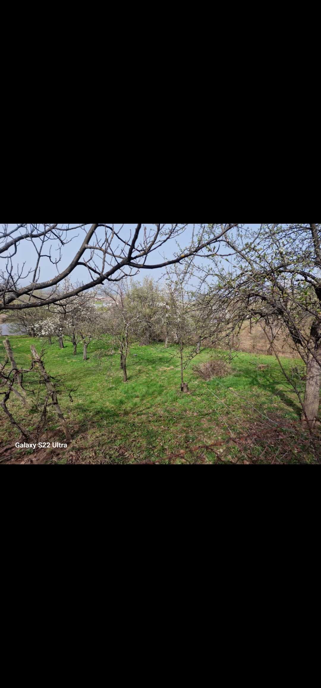 Парцел в гола велика